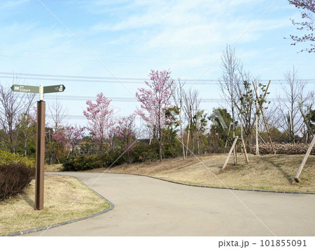 イイナパーク川口 イイナパーク川口 101855091