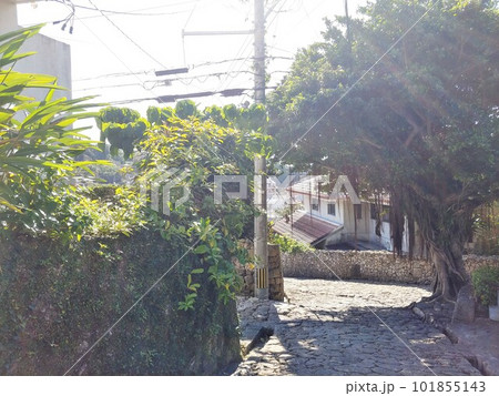 首里金城町石畳道36　沖縄 101855143