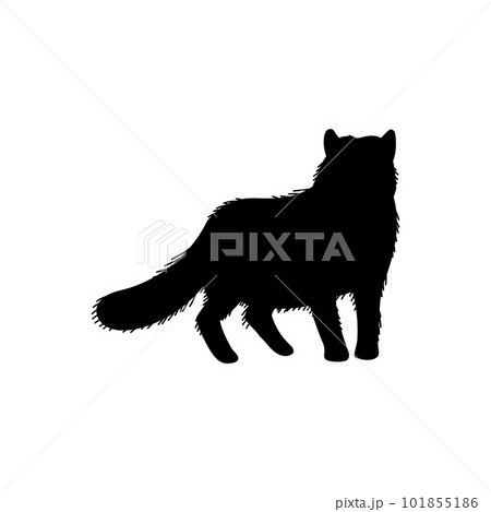 Arctic fox black silhouette, flat vector illustration isolated on white background. 101855186
