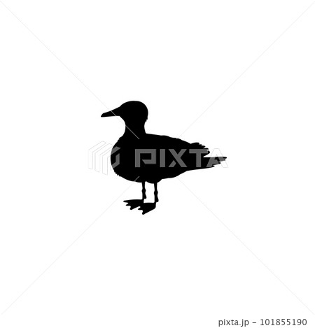 Standing seagull black silhouette monochrome vector illustration isolated. 101855190
