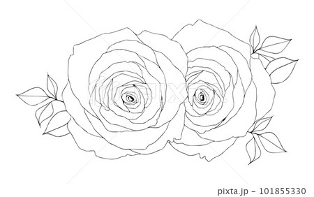 薔薇のブーケ手描き線画イラスト 薔薇のブーケ手描き線画イラスト 101855330