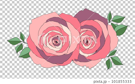 粉色玫瑰花束插畫 粉色玫瑰花束插畫 101855333