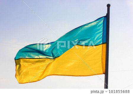 A beautiful yellow and blue flag of Ukraine on flagpole fluttering, waving in a wind against a light sky at sunny day. The national symbol of the country's independence. Identity, patriotism concept. 101855688