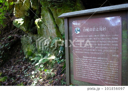 白蛇の岩と鳥居の看板・高野参詣道・町石道(和歌山県・高野山)3 白蛇の岩と鳥居の看板・高野参詣道・町石道(和歌山県・高野山)3 101856097
