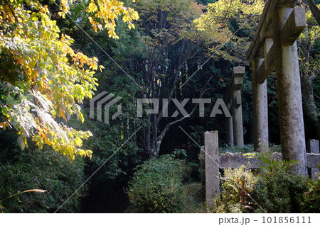 二ツ鳥居・高野参詣道・町石道(和歌山県・高野山) 二ツ鳥居・高野参詣道・町石道(和歌山県・高野山) 101856111