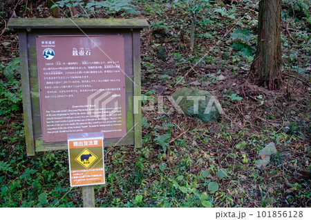 銭壺石・高野参詣道・町石道(和歌山県・高野山) 銭壺石・高野参詣道・町石道(和歌山県・高野山) 101856128