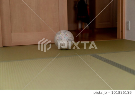 室内のサッカーボール 室内のサッカーボール 101856159