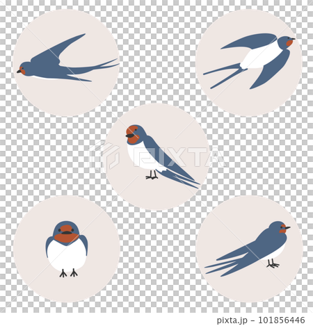 Tsubame illustration set Tsubame illustration set 101856446