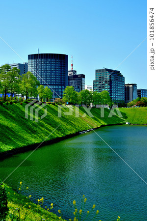 東京 新緑の綺麗なつつじ咲く皇居　桜田濠と放送局などの風景 101856474