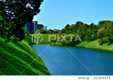 東京 新緑の綺麗なつつじ咲く皇居　桜田濠と放送局などの風景 101856478