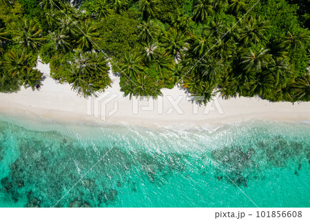 stunning blue ocean and sandy white island maldives top drone aeral view deserted hidden Maldives beach copyspace for text stunning blue ocean and sandy white island maldives top drone aeral view deserted hidden Maldives beach copyspace for text 101856608