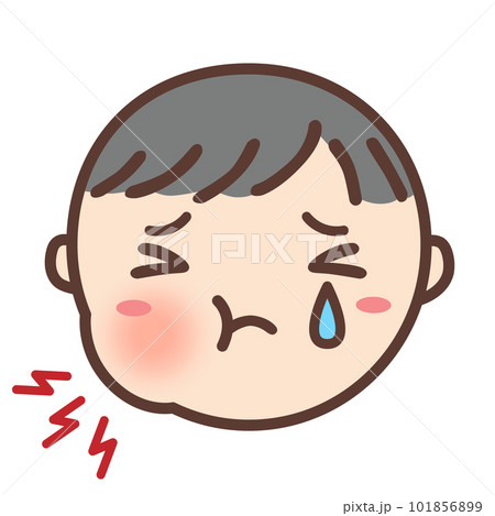 「歯が痛い」絵カード（生活場面）【療育・発達障害・自閉症】 101856899