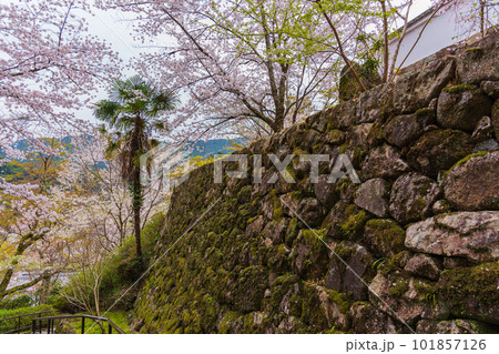花の御寺、奈良長谷寺の伽藍と桜探訪。絶景満開の桜巡り 花の御寺、奈良長谷寺の伽藍と桜探訪。絶景満開の桜巡り 101857126