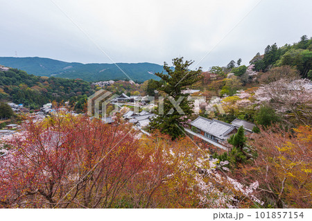花の御寺、奈良長谷寺の伽藍と桜探訪。絶景満開の桜巡り 花の御寺、奈良長谷寺の伽藍と桜探訪。絶景満開の桜巡り 101857154