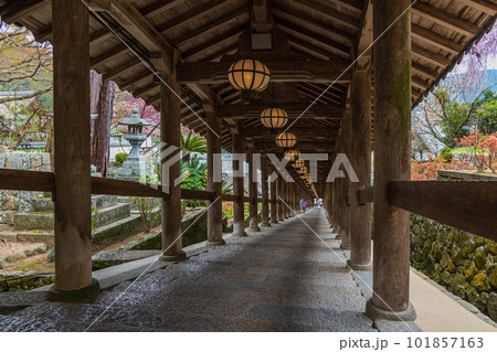 花の御寺、奈良長谷寺の伽藍と桜探訪。絶景満開の桜巡り 101857163