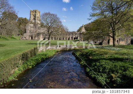 Fountains Abbey - Yorkshire - United Kingdom 101857343