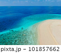 Tropical paradise atoll Ukulhas island aerial view 101857662
