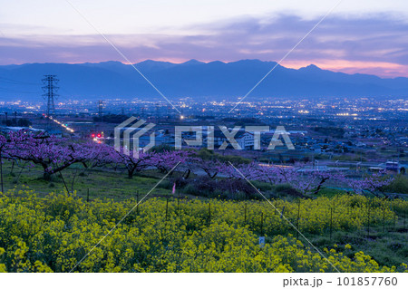 《山梨県》満開の桃の花と菜の花・桃源郷の甲府盆地 101857760