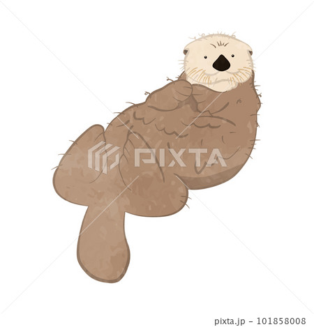目が点になって寝そべるかわいいラッコのイラスト 目が点になって寝そべるかわいいラッコのイラスト 101858008