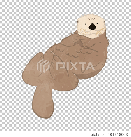 目が点になって寝そべるかわいいラッコのイラスト 目が点になって寝そべるかわいいラッコのイラスト 101858008