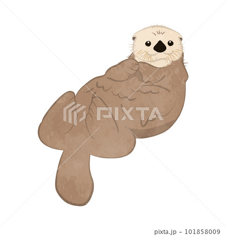 寝そべるかわいいラッコのイラスト 寝そべるかわいいラッコのイラスト 101858009