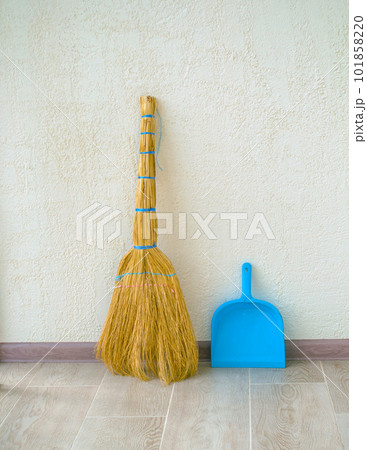House cleaning. 101858220