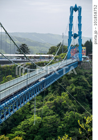 茨城県常陸太田市　新緑の竜神大吊り橋 101858752