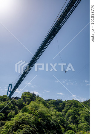 茨城県常陸太田市　新緑の竜神大吊り橋 101858776