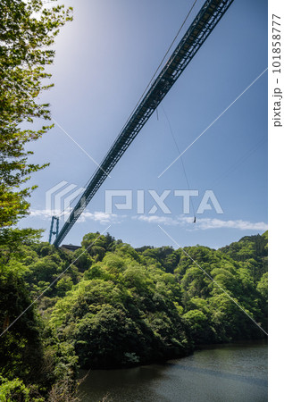 茨城県常陸太田市　新緑の竜神大吊り橋 101858777