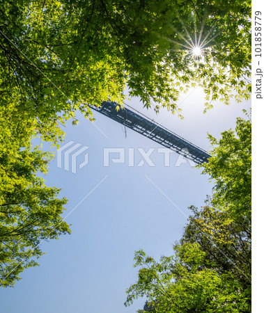 茨城県常陸太田市 新緑の竜神大吊り橋 茨城県常陸太田市 新緑の竜神大吊り橋 101858779