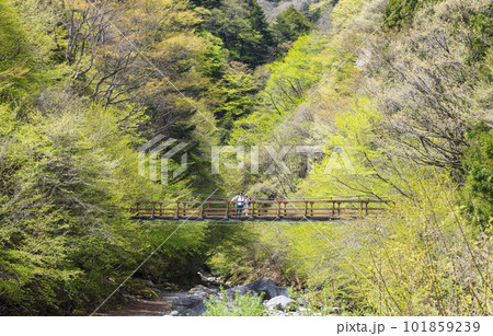 ハイキングを楽しむカップル ハイキングを楽しむカップル 101859239