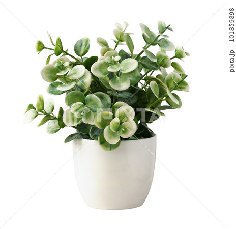 Green and white artificial plant with small leaves in a plastic pot isolated on white Green and white artificial plant with small leaves in a plastic pot isolated on white 101859898