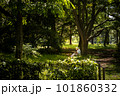 Summer reading under the trees 101860332