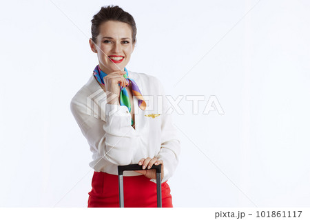 smiling elegant female flight attendant on white 101861117