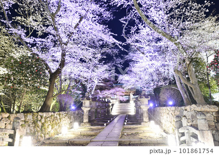 滋賀・三井寺の夜桜 滋賀・三井寺の夜桜 101861754