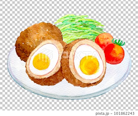 Scotch egg watercolor illustration hand-drawn illustration Scotch egg watercolor illustration hand-drawn illustration 101862243