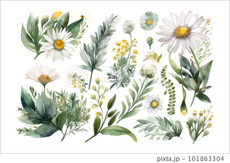 Watercolor floral illustration elements set - green leaves, pink peach blush white flowers, branches. Decorative flower elements template. Flat cartoon illustration isolated on white background Watercolor floral illustration elements set - green leaves, pink peach blush white flowers, branches. Decorative flower elements template. Flat cartoon illustration isolated on white background 101863304