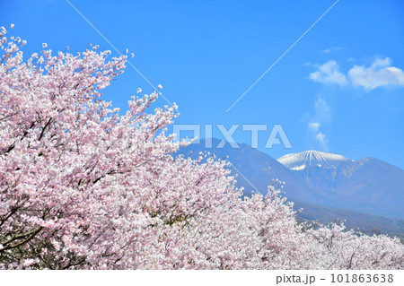 東御市より浅間山方面を望む(長野県東御市)【2023.4】 101863638