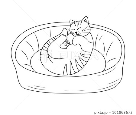 cat bed clipart black and white