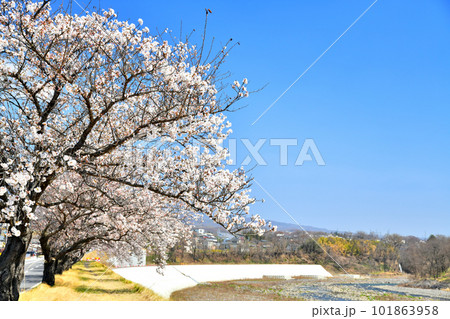 海野宿付近より千曲川上流方向を望む(長野県東御市)【2023.4】 101863958