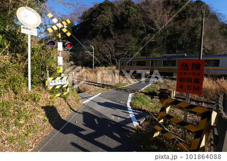 大網散策 101864088