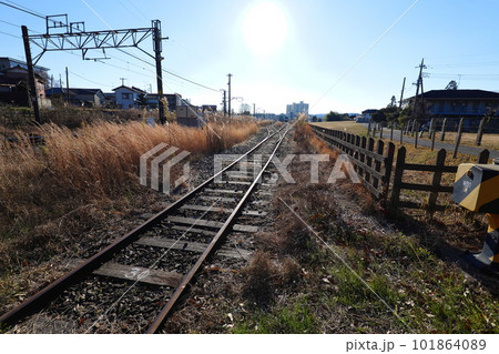 大網散策 101864089