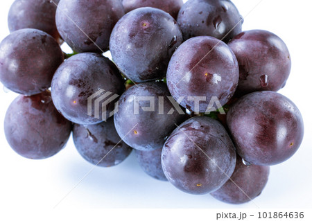 葡萄　巨峰 101864636