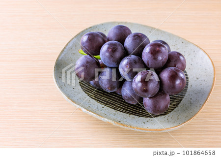 葡萄　巨峰 101864658