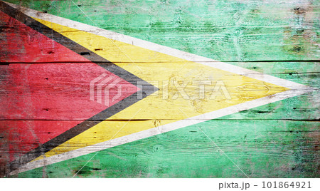 Flag of Guyana Flag of Guyana 101864921