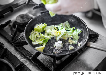 Iceberg lettuce 101866075