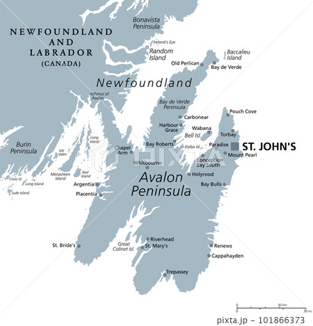 Avalon Peninsula, gray political map. Portion of the island of Newfoundland, off the coast of mainland North America, part of Canadian province of Newfoundland and Labrador, with capital St. Johns. Avalon Peninsula, gray political map. Portion of the island of Newfoundland, off the coast of mainland North America, part of Canadian province of Newfoundland and Labrador, with capital St. Johns. 101866373