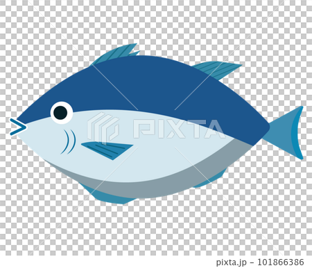 鮪 マグロ。魚。ベクターイラスト 鮪 マグロ。魚。ベクターイラスト 101866386