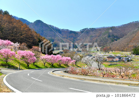 長野県千曲市森地区の風景(長野県千曲市)【2023.4】 長野県千曲市森地区の風景(長野県千曲市)【2023.4】 101866472