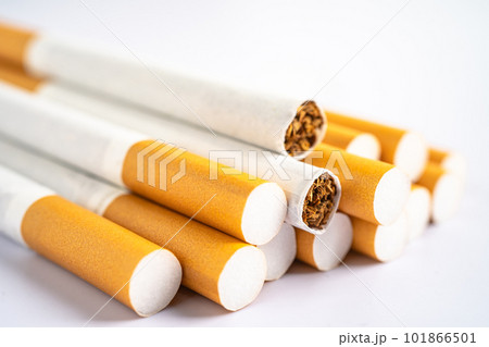 Cigarette, tobacco in roll paper with filter tube, No smoking concept. 101866501